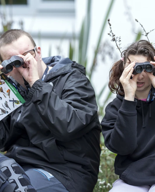 Two people sitting outdoors, looking through binoculars, holding a bird identification chart and searching for birds. Two people sitting outdoors, looking through binoculars, holding a bird identification chart and searching for birds.
